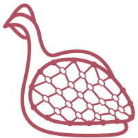 Illustration of guinea fowl with network graphic in wing